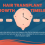 Article – Hair Transplant Growth Timeline